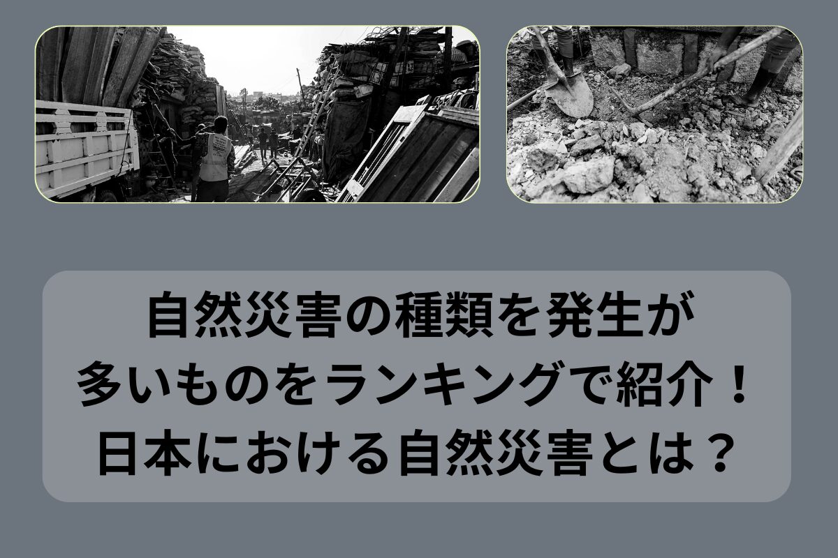 自然災害 ランキング