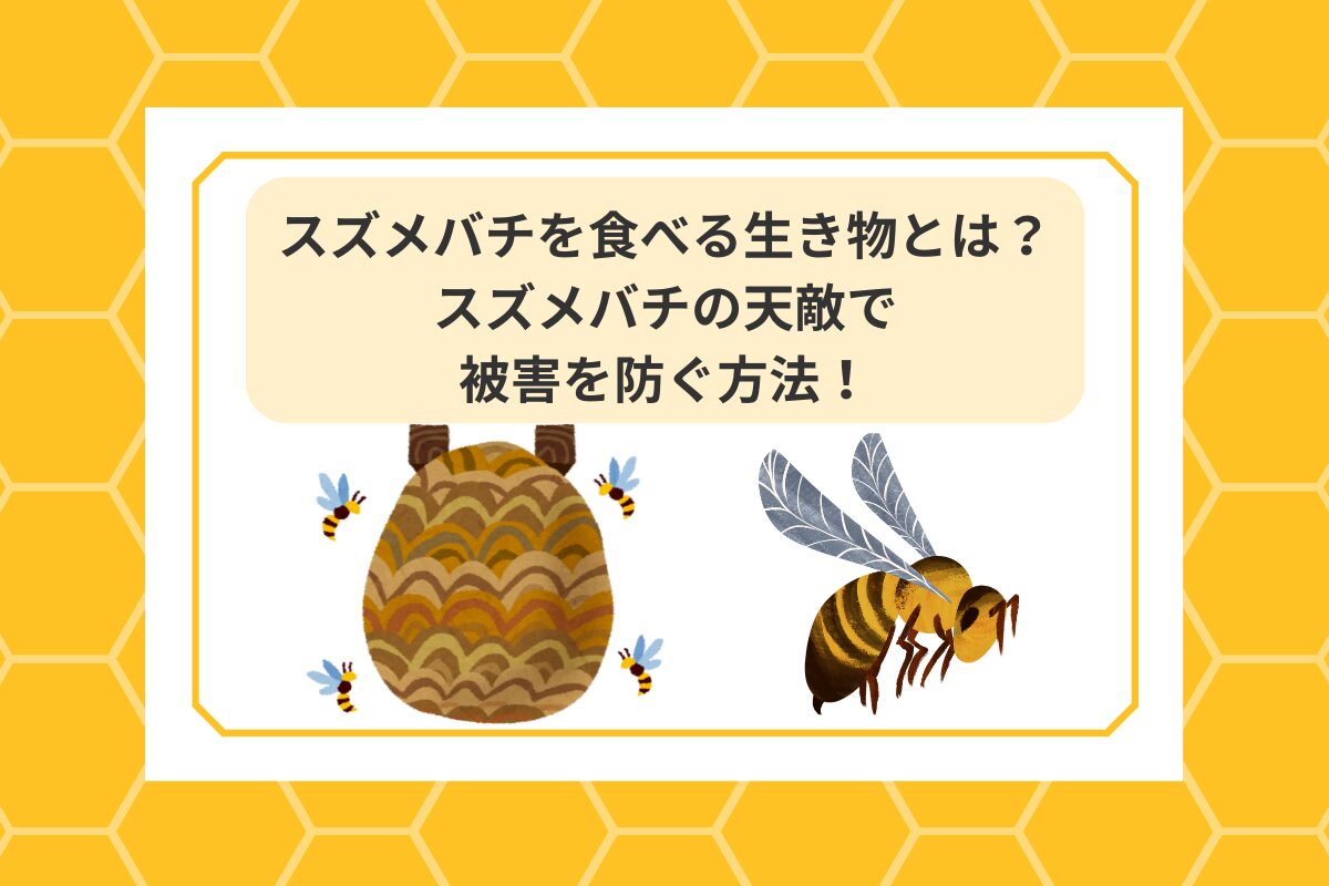スズメバチ 食べる生き物 天敵