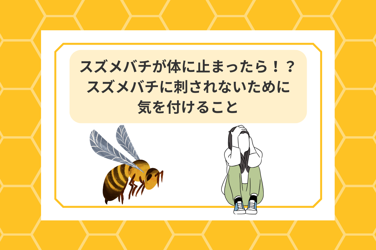 スズメバチ 体に止まったら