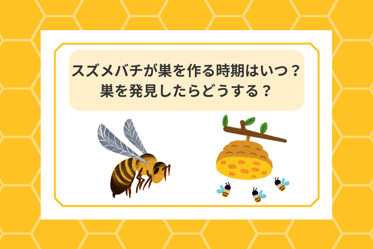 スズメバチ 巣 作る時期